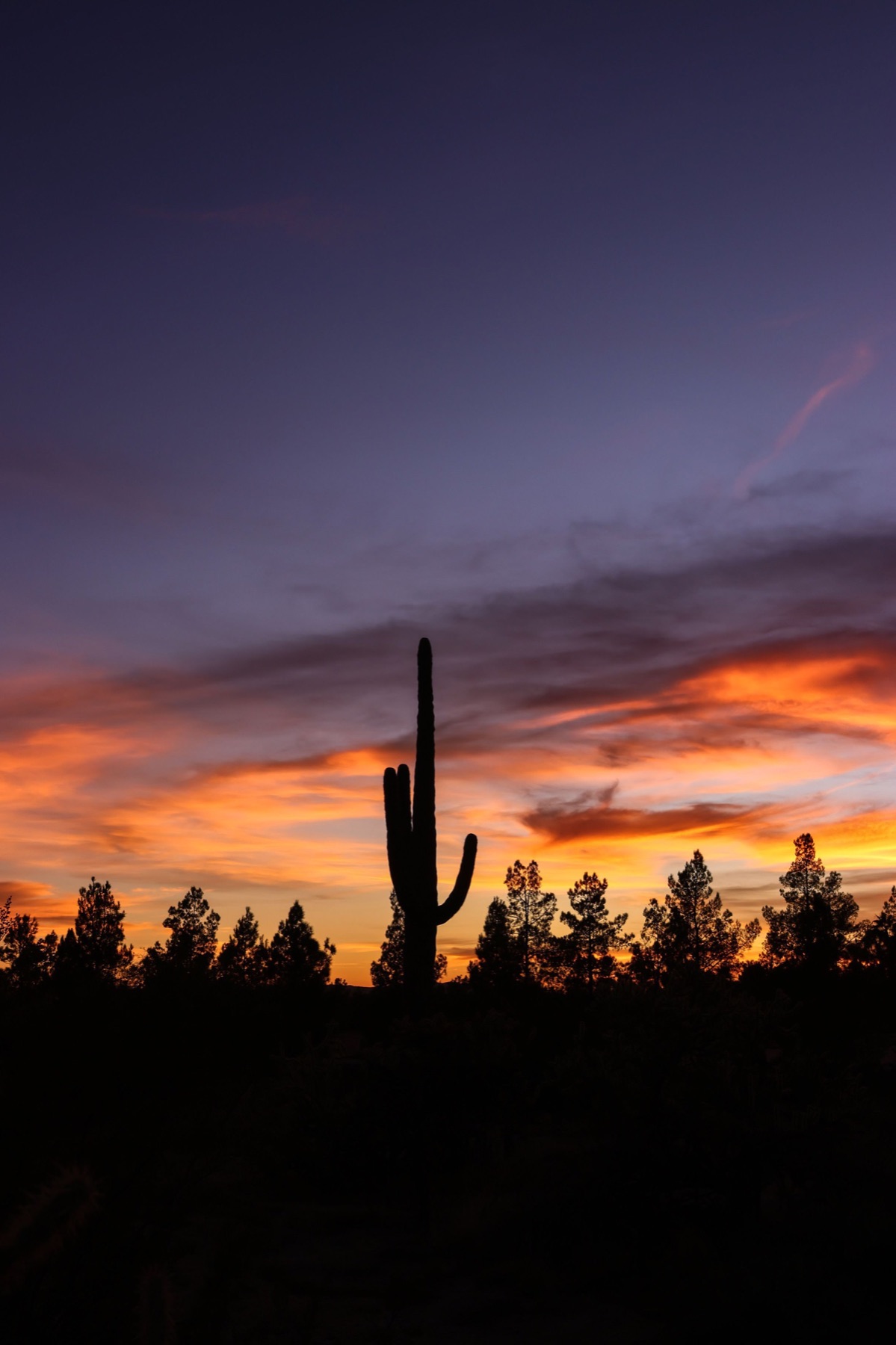 Phoenix, Arizona
