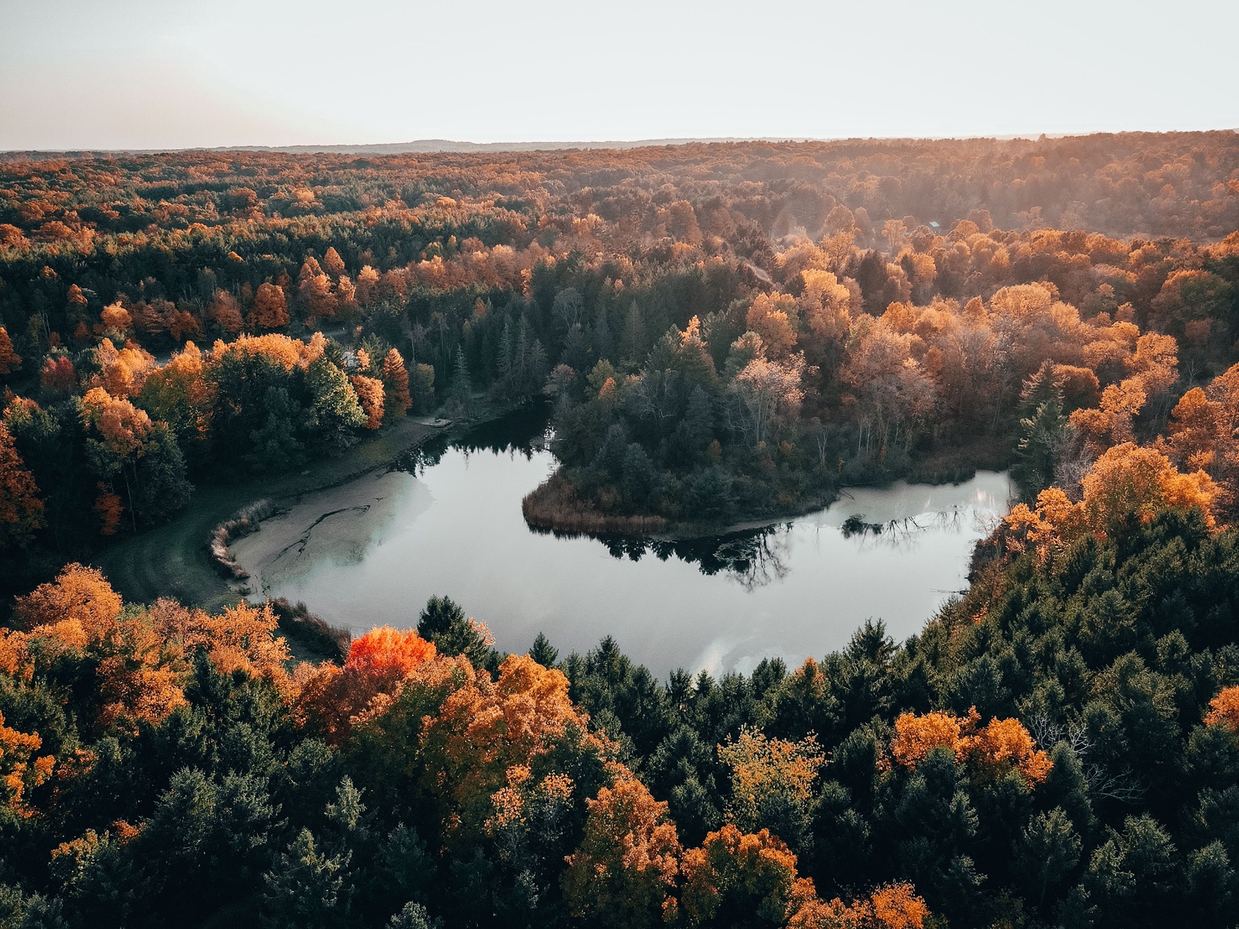Hardwood color around a quiet lake in the Ohio hill country, Ohio