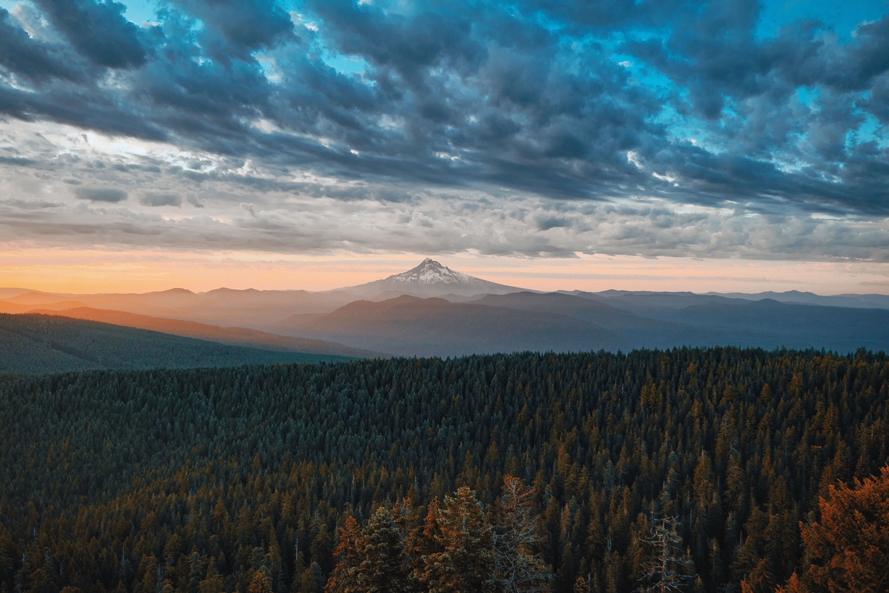 Mount Hood over the Cascade timber, Oregon